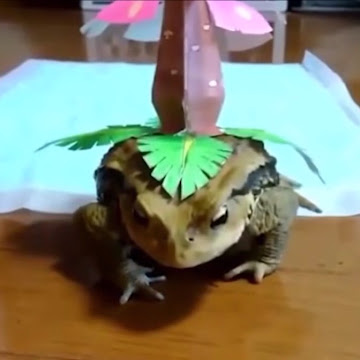 Profile photo of Gavin Barker