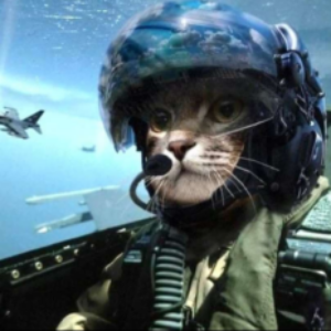 Profile photo of Tricky7