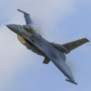 Profile photo of Mr.spidermonkey