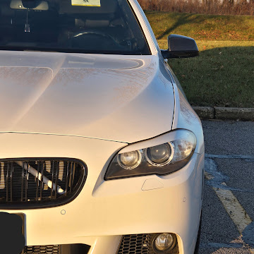 Profile photo of Kodak