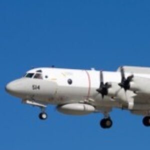 Profile photo of Bare