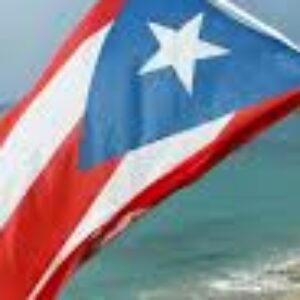 Profile photo of Gwock