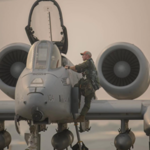 Profile photo of BoB_A-10C