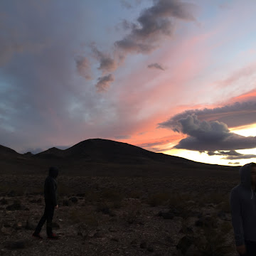 Profile photo of Dominic