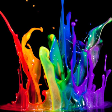 Profile photo of Monty