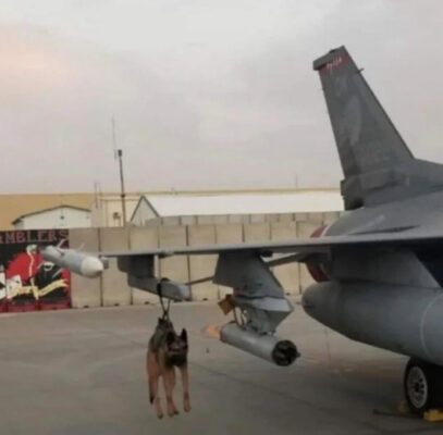 6749C49C-B4E0-4B99-B0F3-3EE0CFF0582D