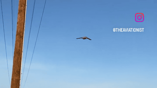 1AA477AA-C2AE-4F1C-8E92-2BF4AF154250